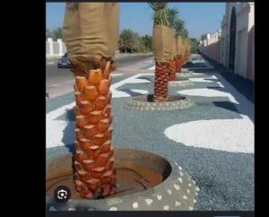 مظلات شلالات غرف زجاجية قص وازاله اشجار