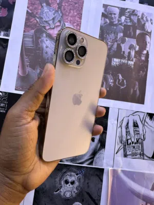 iPhone 13pro max