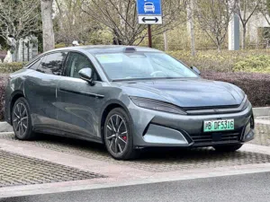 مجموعة BYD عمان