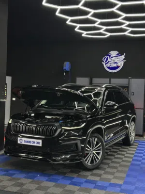 كوداك فل فل