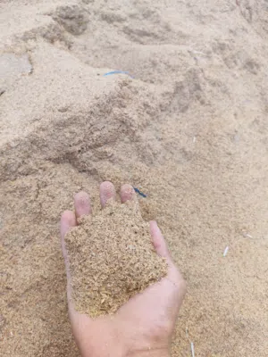 نخالة الأرز