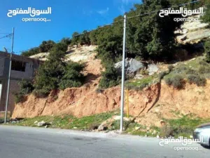 Residential Land for Sale in Ajloun E'in Jana