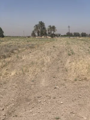 ارض تجاريه على سريع الدولي طابو المحموديه 83 دونم واجهه 500 متر نزال اكثر من1000 متر مباشره على طريق