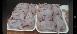 Meat0