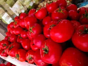 Vegetable & Fruit0