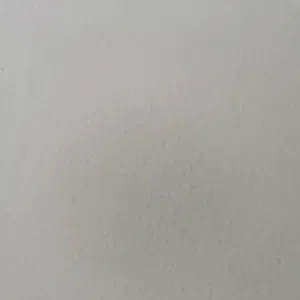 سالم 
