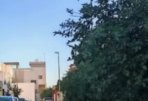 يوجد منزل في بوسليم ويوجد فيلال في بوشعاله وقطع ارظي