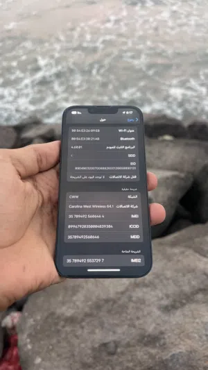 ايفون 13 العادي