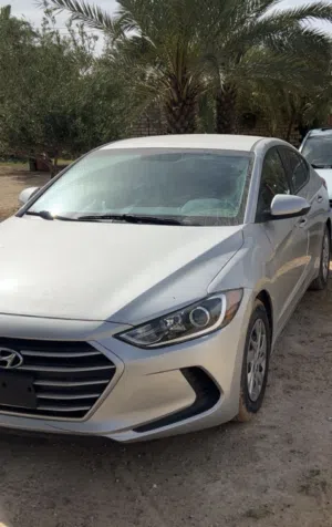 Used Hyundai Elantra in Al Maya