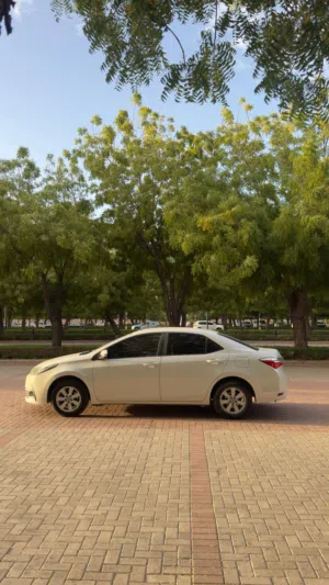 Used Toyota Corolla in Muscat