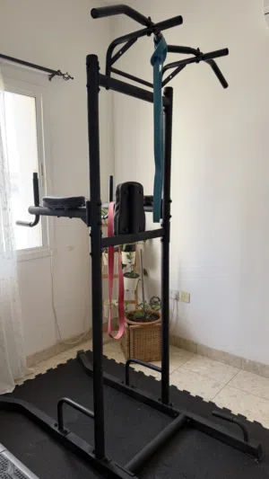 Pull ups and dip station