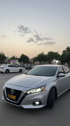 التيما sv 2022