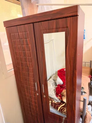 BEDROOM DRESSING CUPBOARD