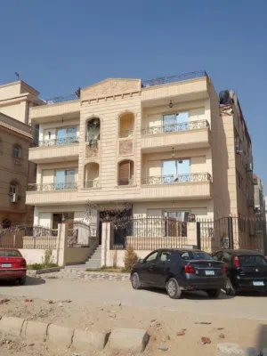 الاء عبد السميع 