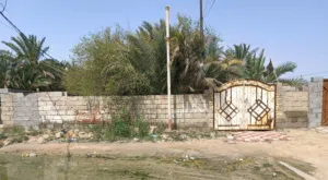 دار سكنية-فرصه استثمارية في الدير   مساحة 300 متر واجهة 14 م نزال 22م  منطقة هادئه  زراعي