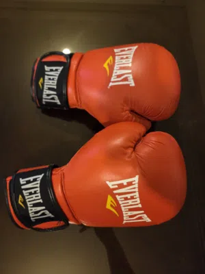 Everlast 12oz Leather Boxing Gloves