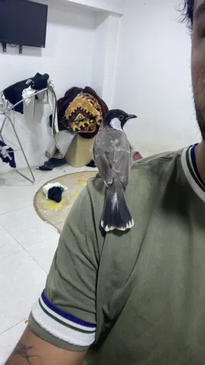 اقره الوصف مهم