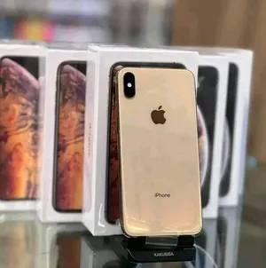 Apple iPhone XS Max 64 GB in Western Mountain