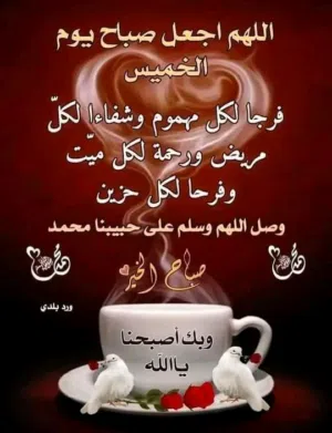 اماني السايح 