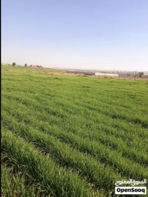 Farm Land for Sale in Mafraq Bala'ama