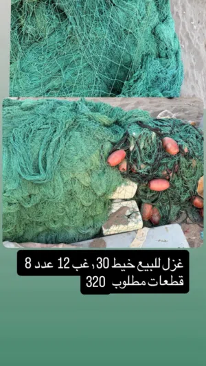 لياخ هدب 30