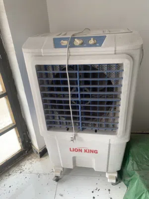 كومفيرة lion king