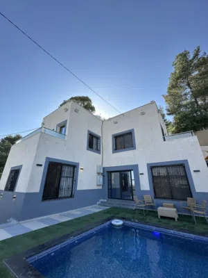 Luxury Chalet in Jerash  Private Pool & Nature Views