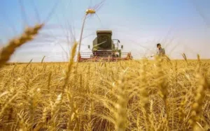 Farm . 140 donum . Landlord2