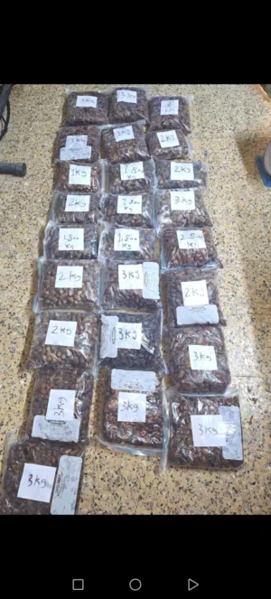 للبيع تمر نظيف نوع خلاص نغال وزبد لسنة 2025