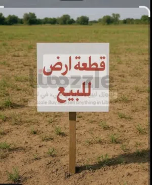 ارض للبيع قصر بن غشير 360 الميترو