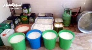 معمل اجبان بحاجه الى تطوير وتاهيل المقصد يحتاج الى ممول يعمل بشكل جيد