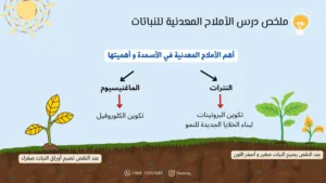 معلم كيمياء وفيزياء