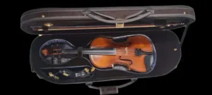 كمنجة للبيع للمحترفين في جدة