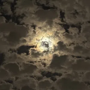 مجهول 