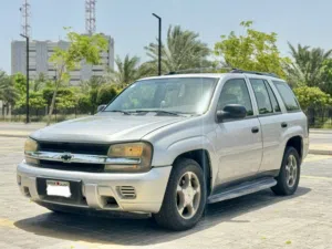 2006 CHEVROLET TRAILBLAZER - SINGLE OWNER - NEAT AND CLEAN CONDITION
