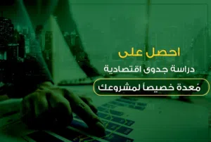 خبراء اقتصاديين ، ماليين ، هندسيين ، متخصصون في إعداد دراسات الجدوى الاقتصادية