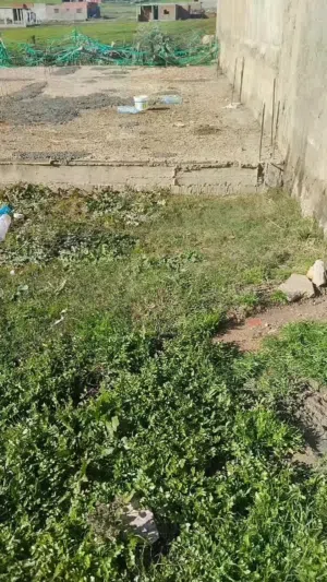 ارض للبيع فهاميدة مصبوبة. في بنزرت