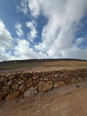 Farm Land for Sale in Jerash Al-Majdal