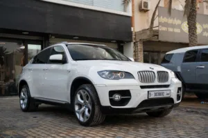 BMW X6 TwinPowerTurbo 2010