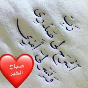 أنس البلوشي
