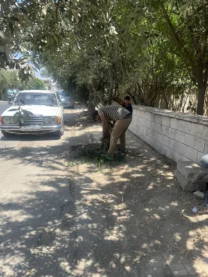 تنظيف بيوت قص شجر تسليك مناهل شطف تنظيف داخلي وخارجي شبابيك ابواب تعزيل طمم تامين قلاب وعمال صيانة