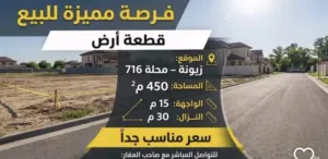 بسعر مناسب قطعه ارض 450 بزيونه