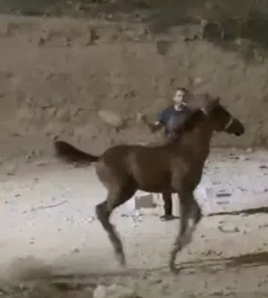 مهر بالصلاة على النبي ساغ سليم صحه عالي