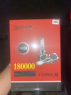 ليت LED ضمان سنه