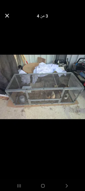 بيت دجاج وطيور 150 سم - حديد مكلفن نخب أول (قابل للطي)