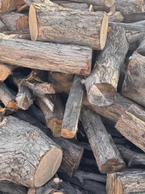 للبيع حطب سدر وسمر بكميات مختلفة