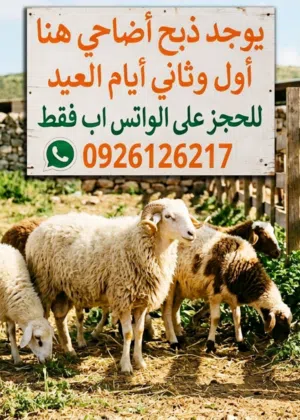 جزار أضاحي
