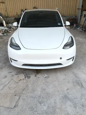 Tesla Model Y 2023 Long Range Dual Motor