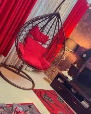 عش البلبل جامبو تفصيل أصلي نخب للبيع