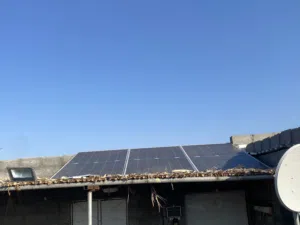 1 Bedroom Farms for Sale in Al Dhahirah Yunqul